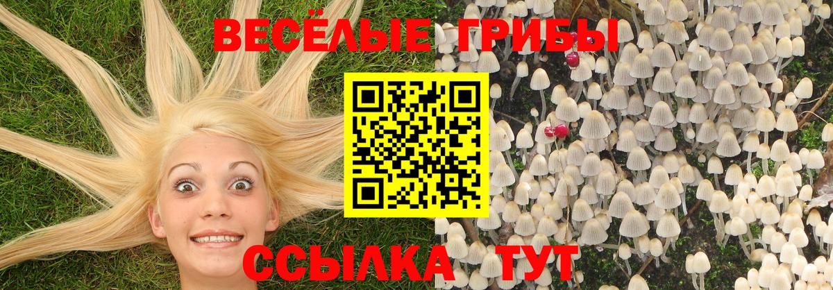 Галлюциногенные грибы Cubensis Тулун